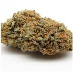 Шишки AK47 (Гидропоника, Бошка) VHQ в Миассе Шишки AK47 (Гидропоника, Бошка) VHQ в Миассе